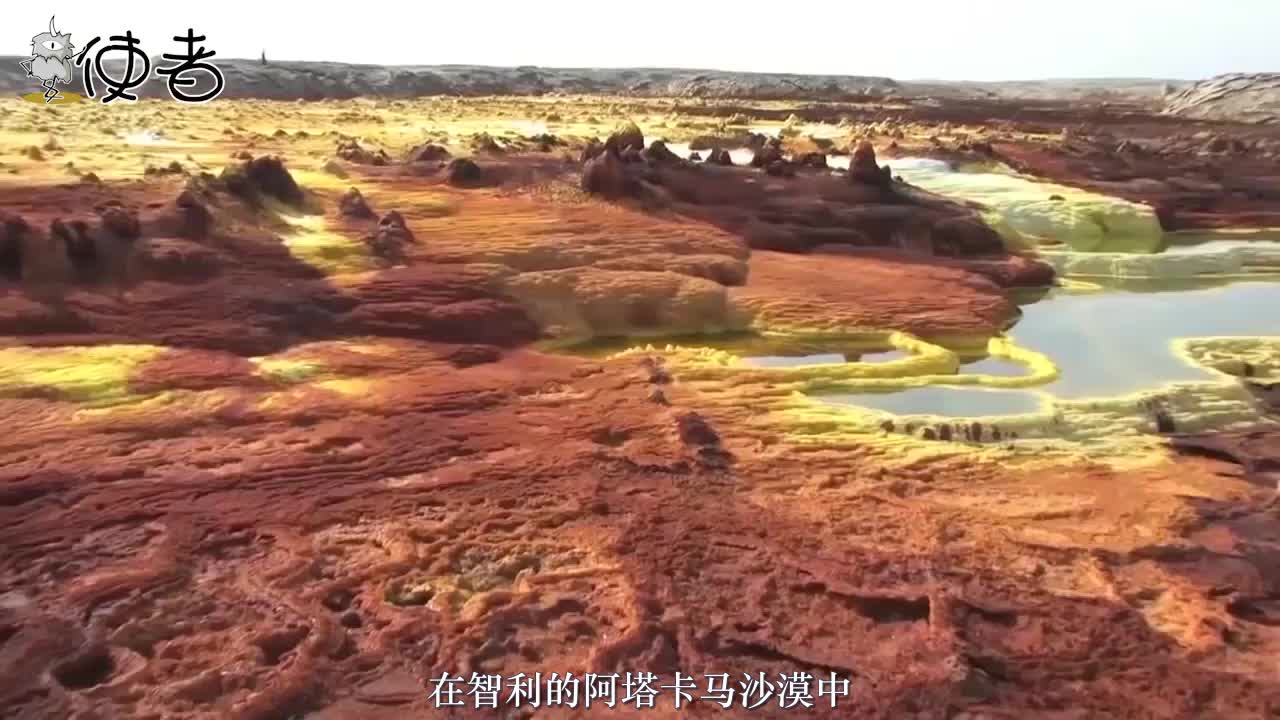 没氧气也能存活！35亿年前的生物给出答案，地外生命或无需氧气