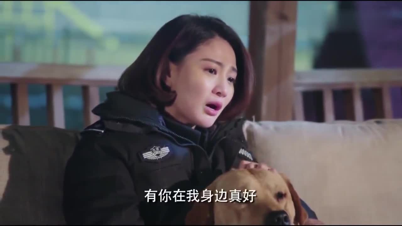 警花与警犬樱桃永远的离开了警花伤心欲绝当众晕倒让人感动