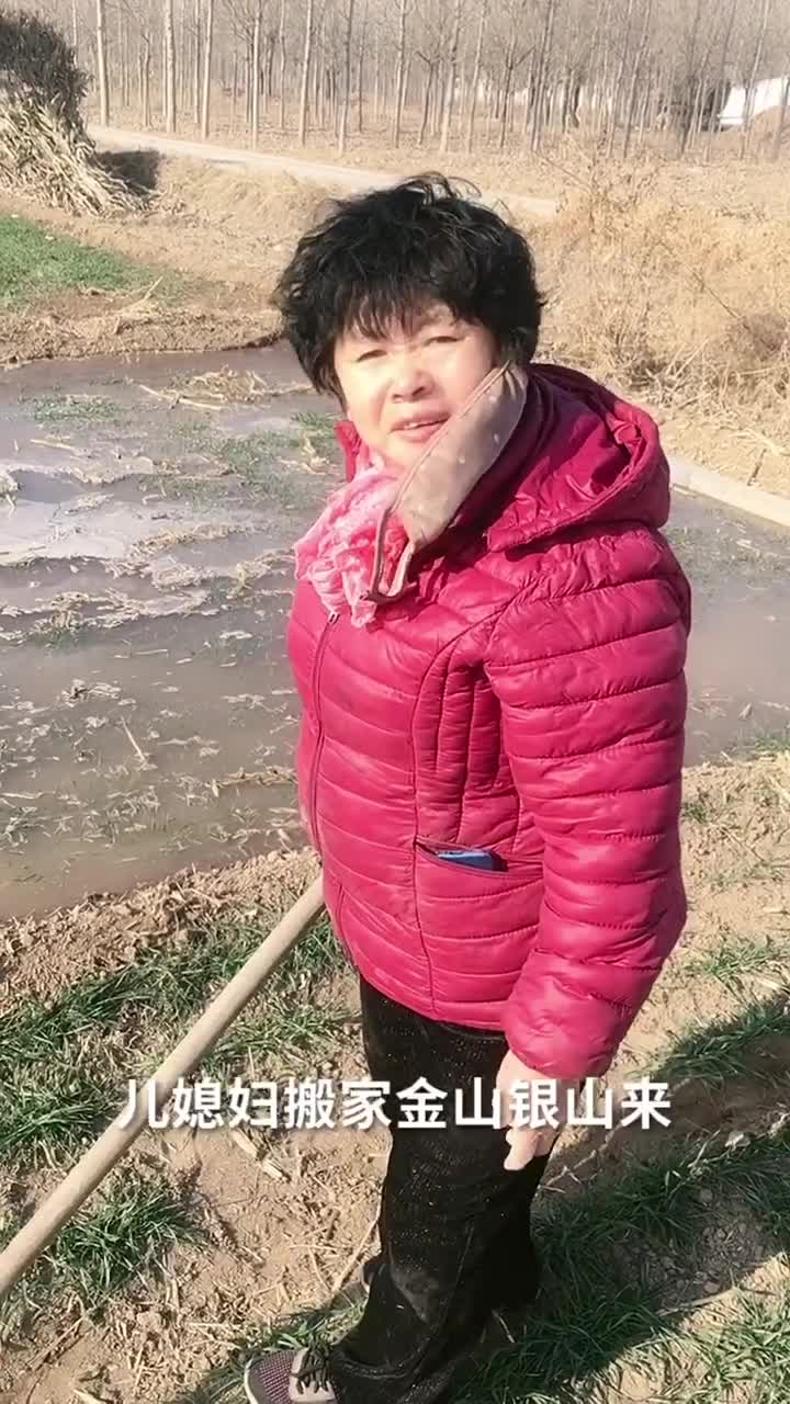好儿媳妇太难了