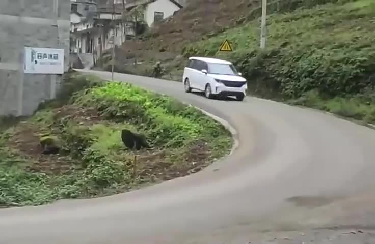 实拍：太丢人了，我竟然连五菱宏光的尾灯都看不到了！