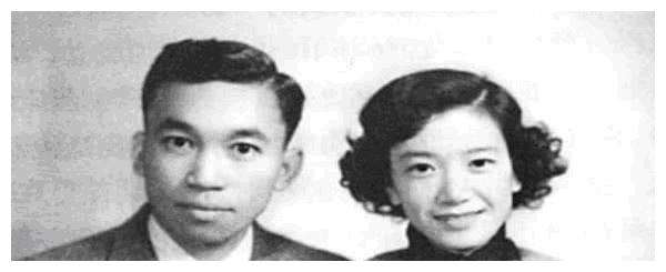 当年这几位海外求学的才子学成后却选择了不同人生路比如林烨