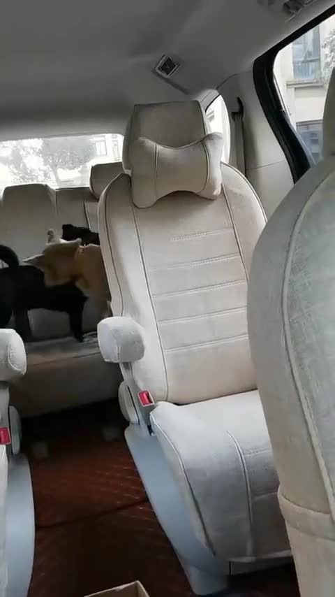 别克GL8空间怎么样？车主实拍值得一看