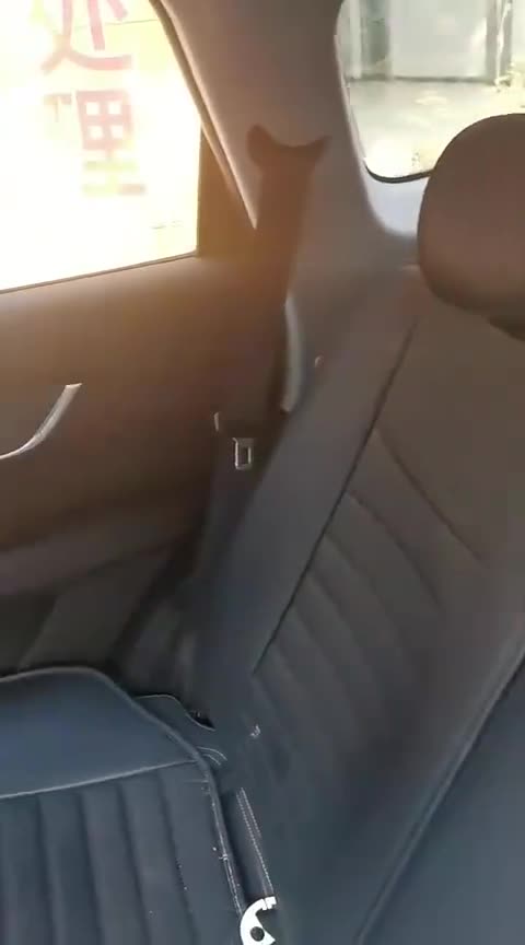 瑞虎8空间怎么样？车主实拍值得