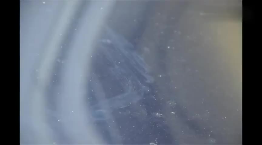 看完小哥是如何把宝马M3保养成新车,你就懂为什么二手车那么新了