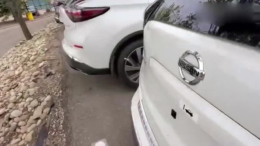 日产楼兰入库实拍，详细了解外观和内饰