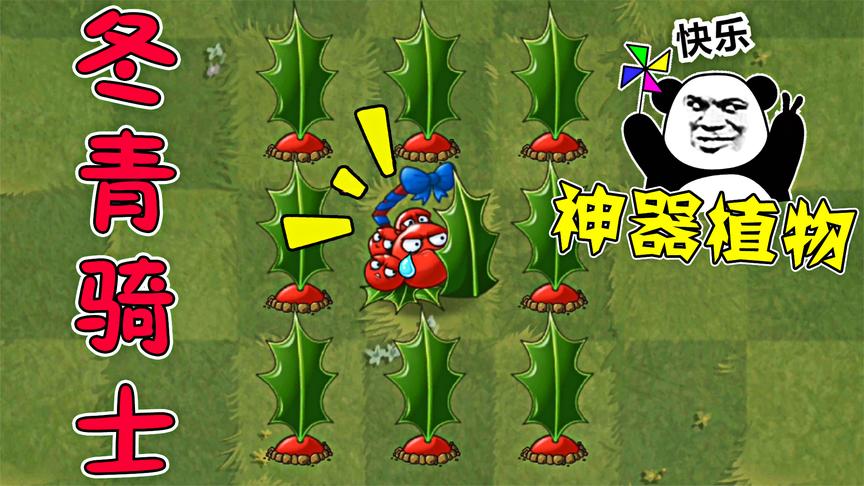 植物大战僵尸2:神器冬青骑士,一株能攻能防的植物!