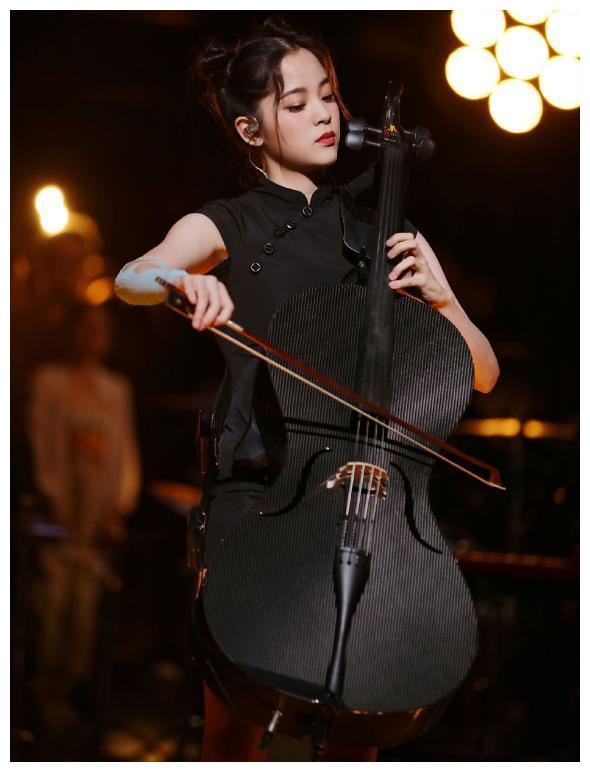 比较大的大提琴是什么 0341-izwfpys9277915.jpg