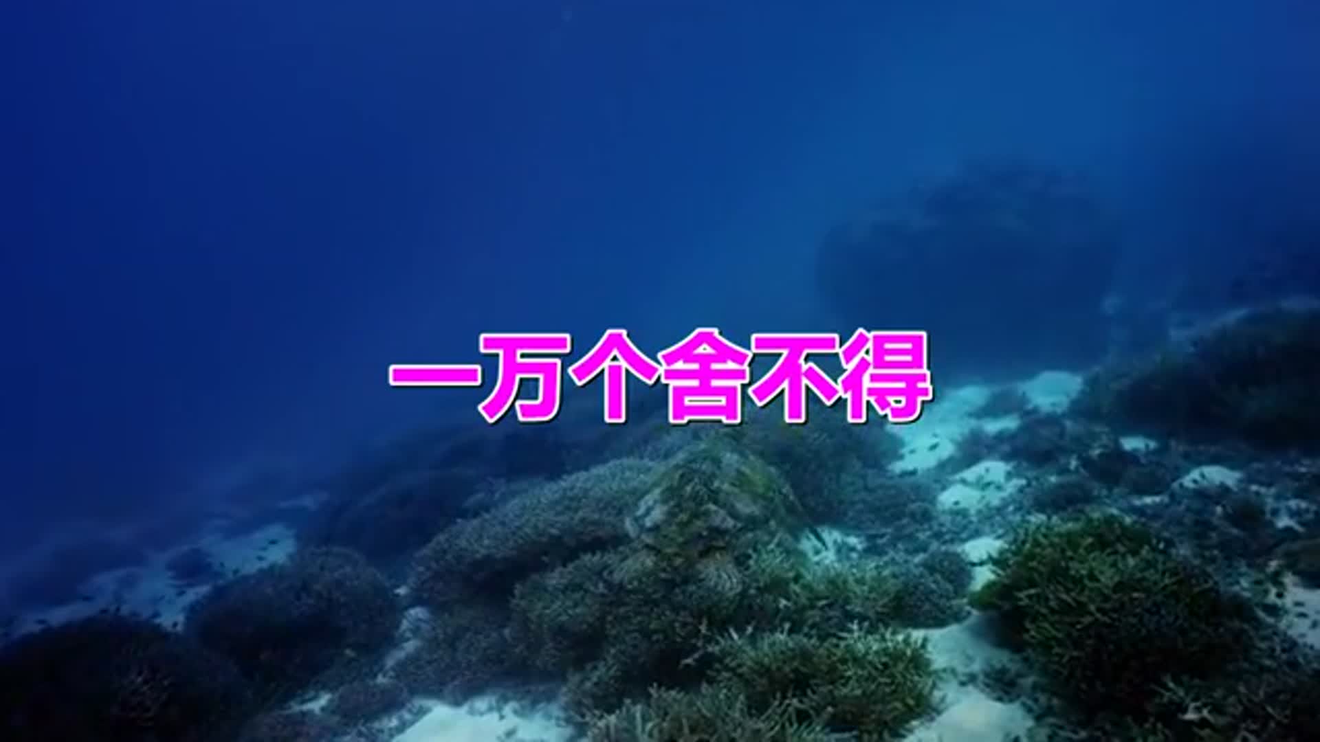 一万个舍不得忘不了心仍是冷康定情歌向往