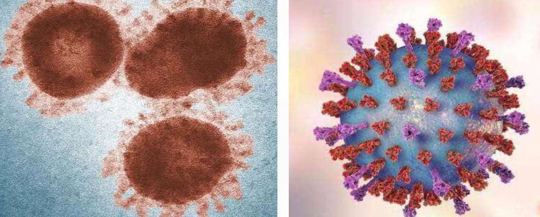 新冠病毒防疫误区 下雪天能否消灭病毒