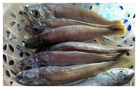 怎么收拾鱼干净 2d89-kaqzmiv8122288.jpg