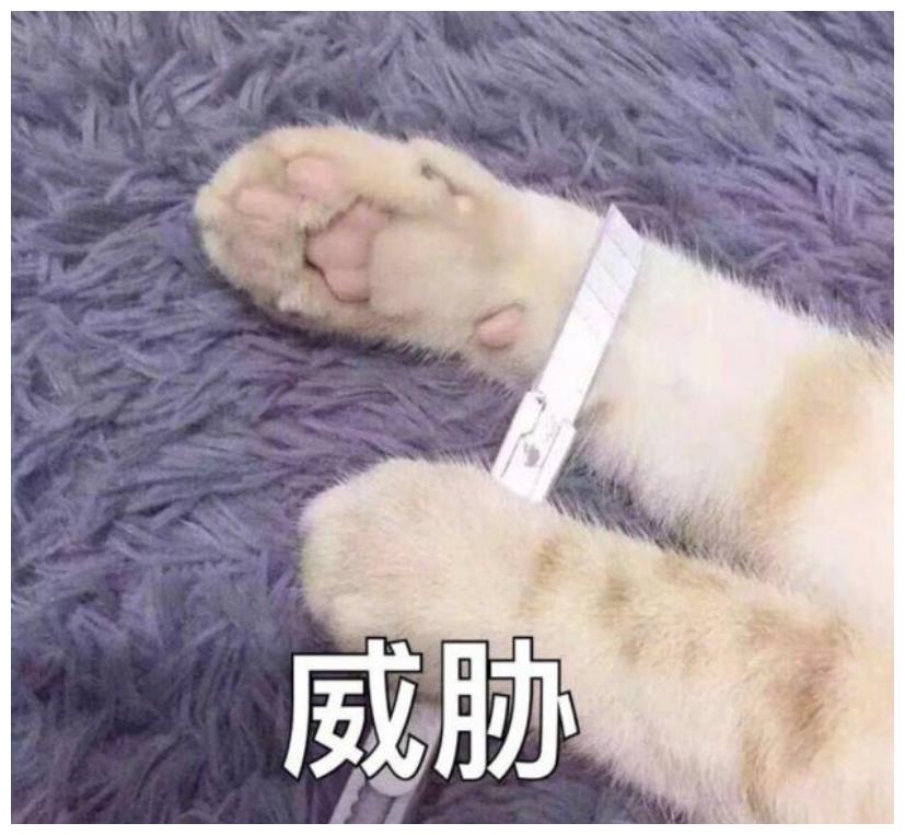 这些段子让人忍俊不禁,这些段子让人忍俊不禁的句子