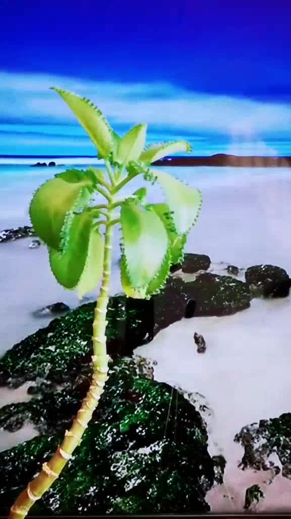 王恰恰的三月里的小雨歌声清脆经典歌曲