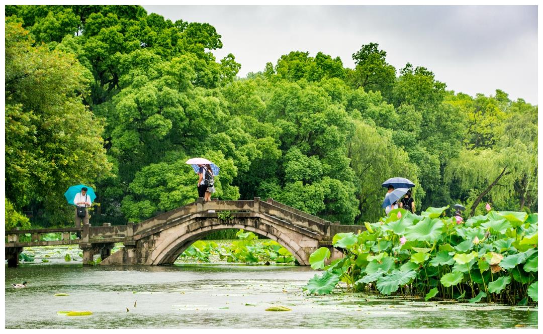 杭州城最佳赏荷地,很多游客专程前来游玩,连康熙皇帝也赞叹不已