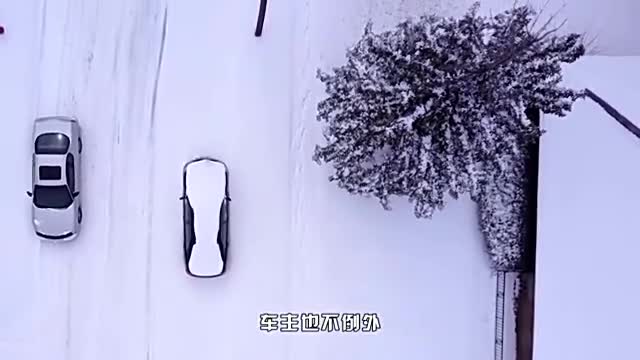 冬季懒于保养车怎么办？一键除雾功能有大用，不用开暖气就能解决