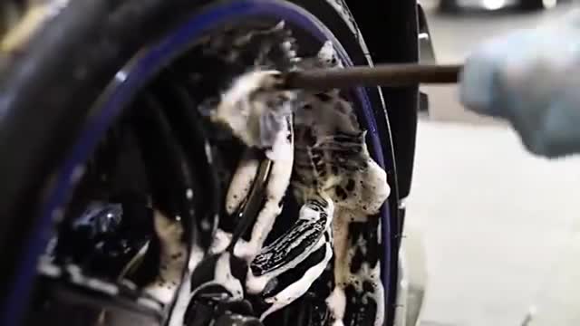 几千万的跑车怎么做汽车保养？真是太专业了，看着都是一种享受！