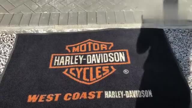 外观声浪全展示,实拍哈雷肌肉车