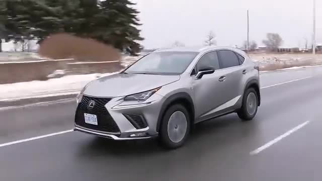 雷克萨斯NX300,雷克萨斯NX300图片 雷克萨斯nx300的格栅内部的网状结