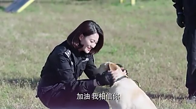 警花与警犬:樱桃初露锋芒,展示犬王气质,连梁老都赞不绝口