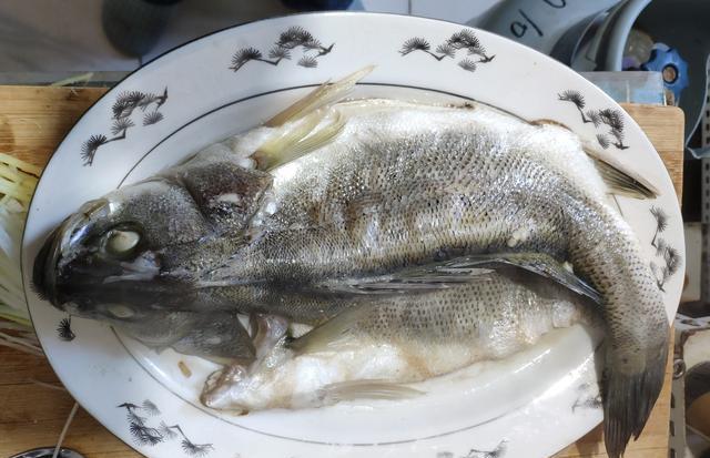 鱼多大不会被吃掉 7c15-kakmcxc7797359.jpg