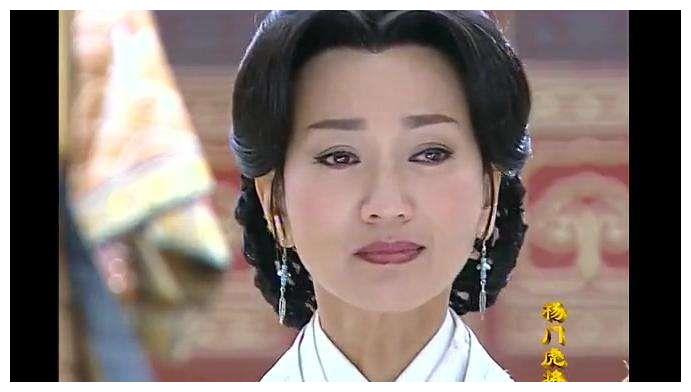透视杨门虎将的小说