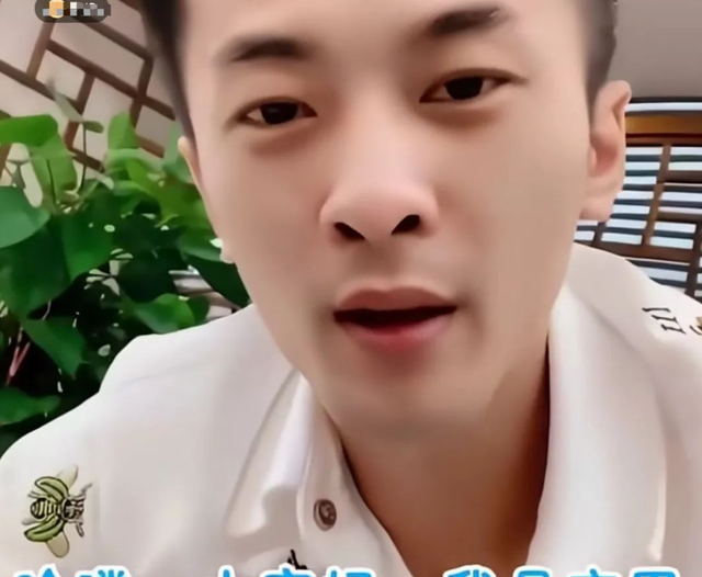 辛巴"女儿"猫妹妹复出,直播间回应整容,网友吐槽像"猫头鹰"