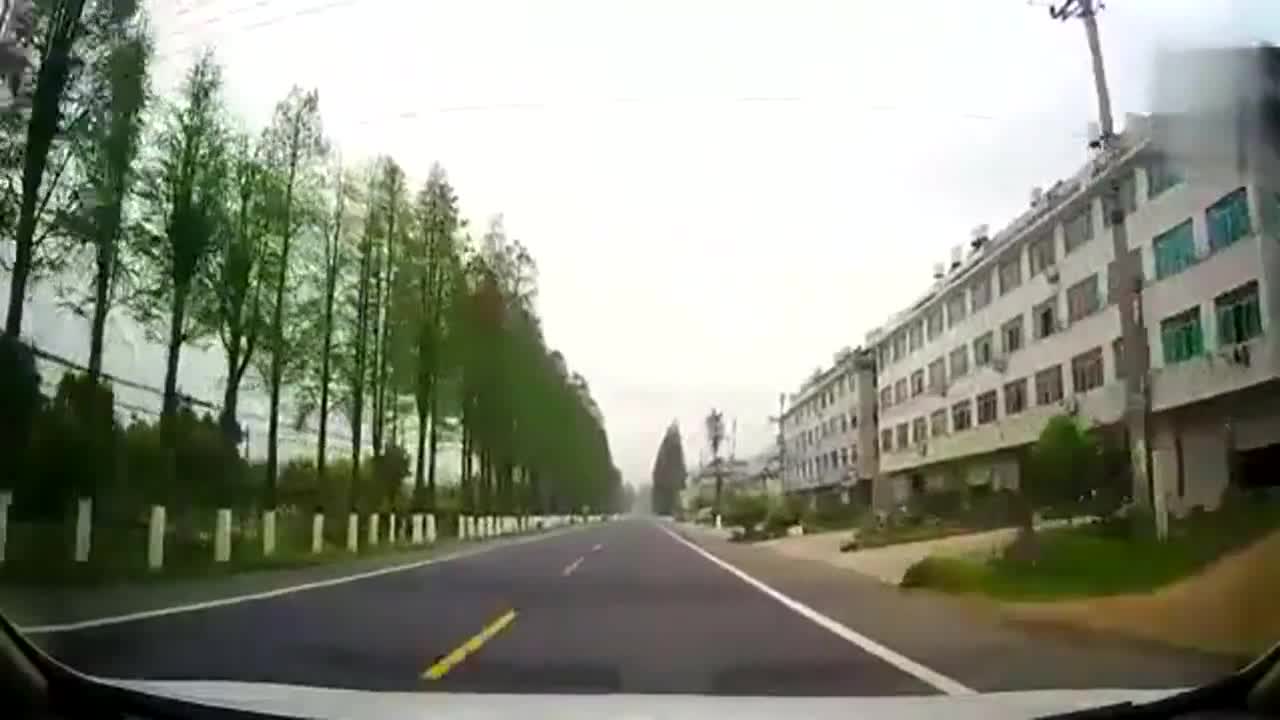 监控实拍：轿车正常行驶，突然飞出只鸡，吓得司机汗流浃背！