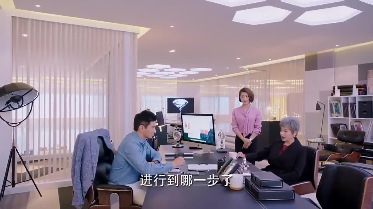 一粒红尘:总裁和老板商讨战略,话不投机