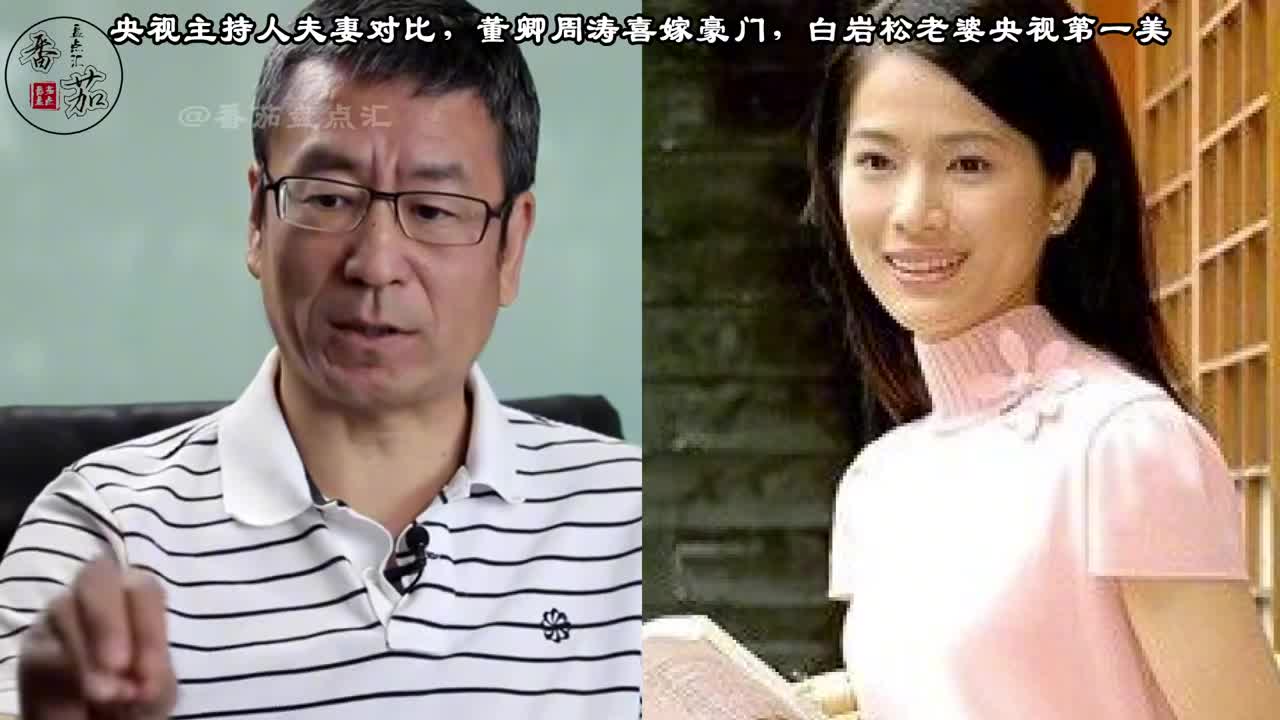 央视主持人夫妻颜值对比董卿周涛嫁豪门白岩松老婆央视第一美