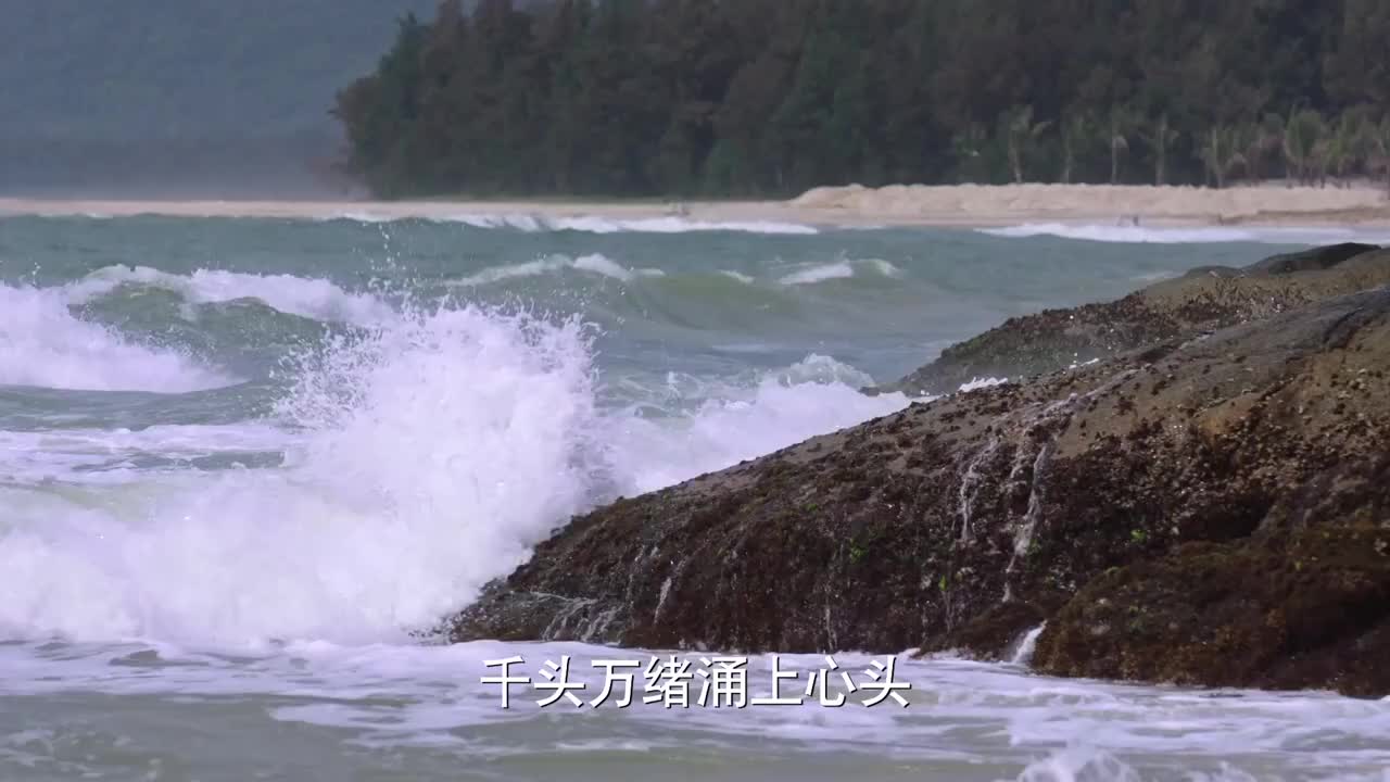 少帅千头万绪涌上心头汉卿哪有心情接任直叫两位下属出去