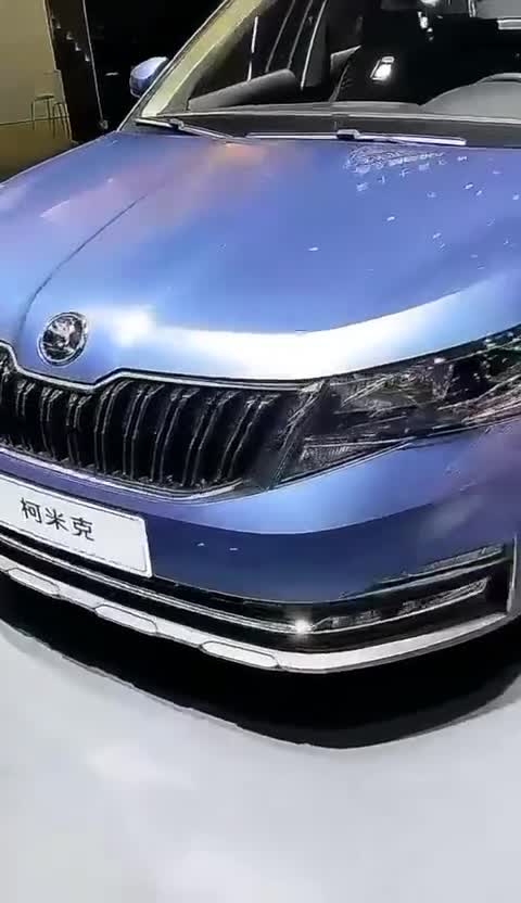 羊城车展的大众斯柯达