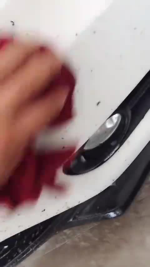 汽车这个地方基本都是防撞梁