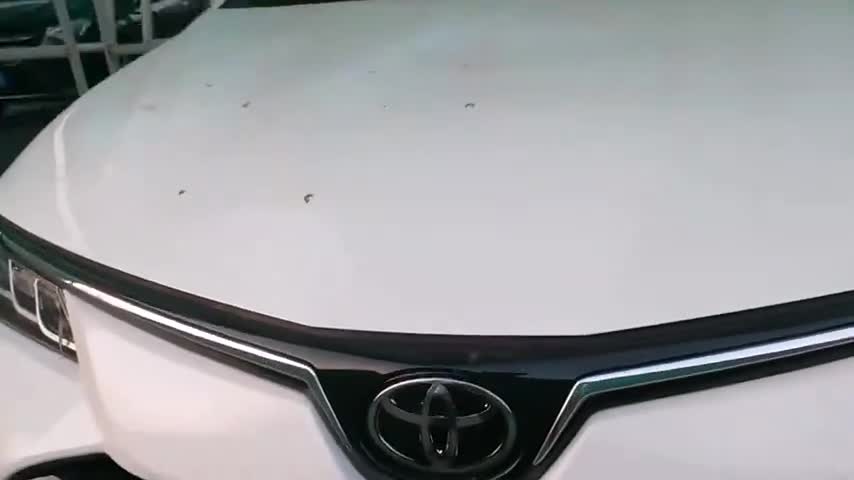 卡罗拉外观怎么样？车主实拍值得一看