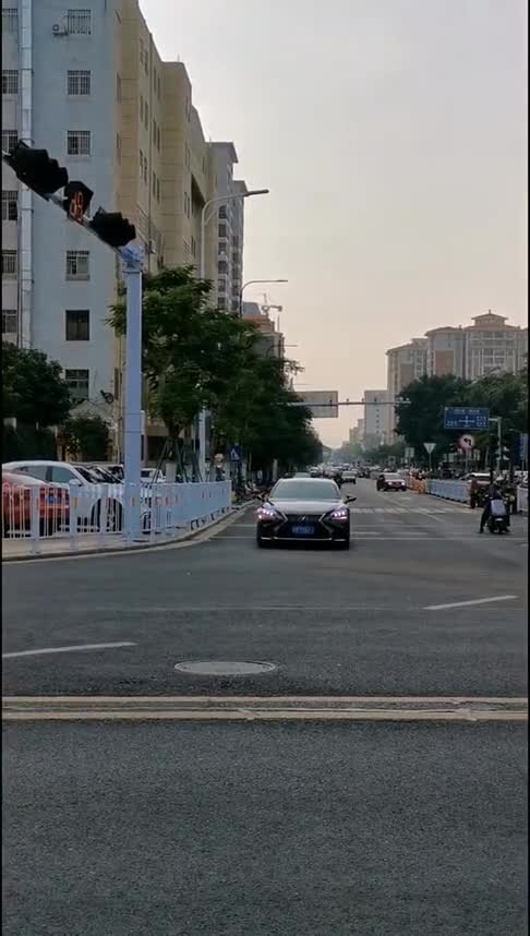 尊贵的雷克萨斯LS500h车主，你的前灯双闪也太完美了