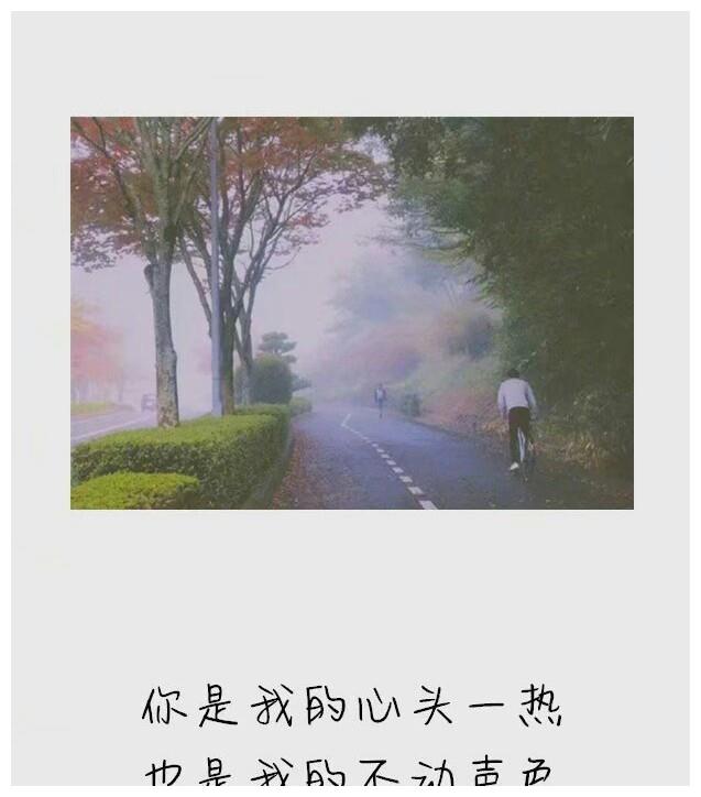 恰似寒光遇骄阳凌缈为了你我要颠覆整个独立洲聂无名
