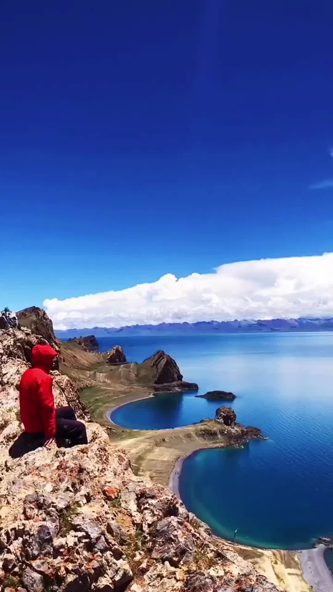 这首简单的爱纱呆宝静真相流畅自然我听了好几遍