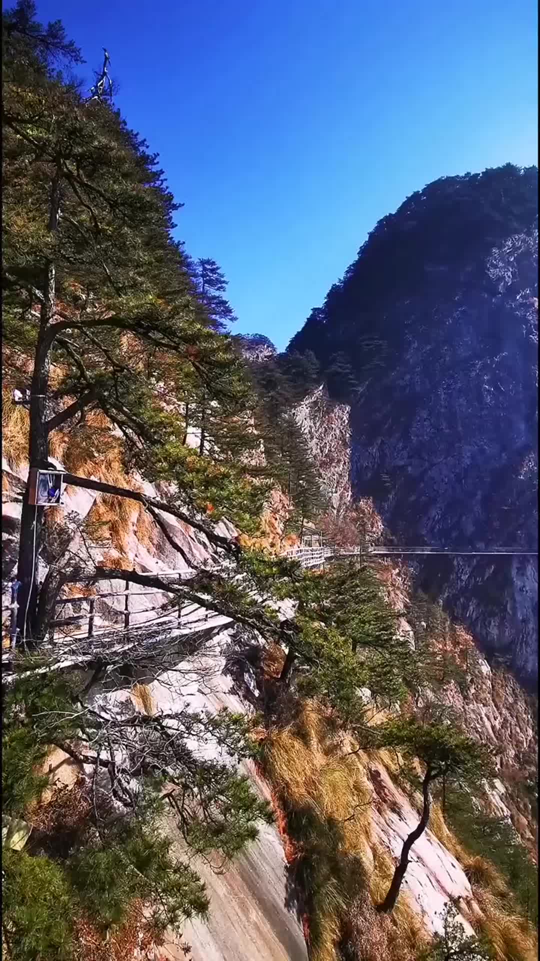 好听的一首雷婷算了吧超级走心获得很多人称赞