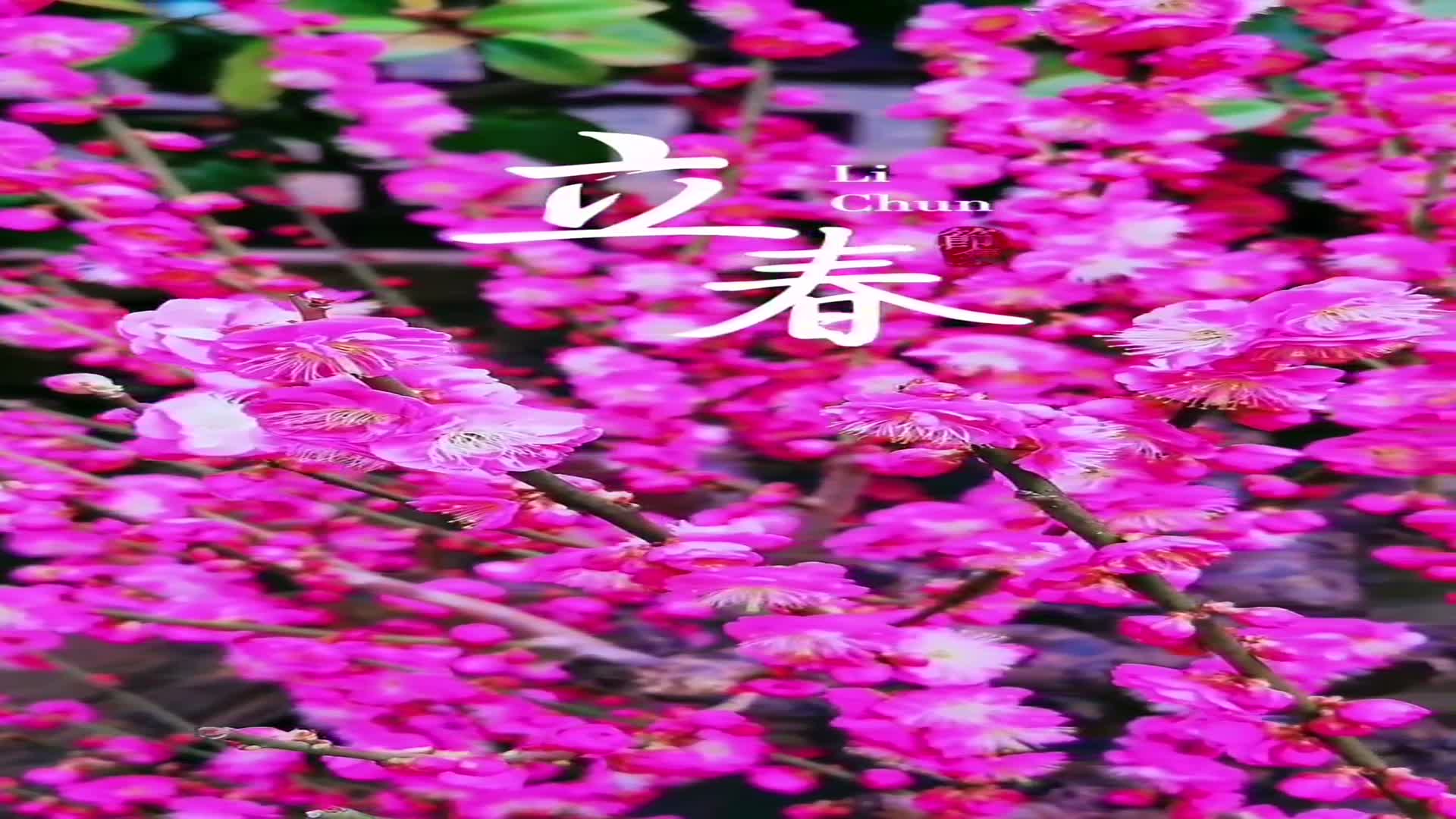 这首简单的等什么君百战成诗抑扬顿挫回味无穷