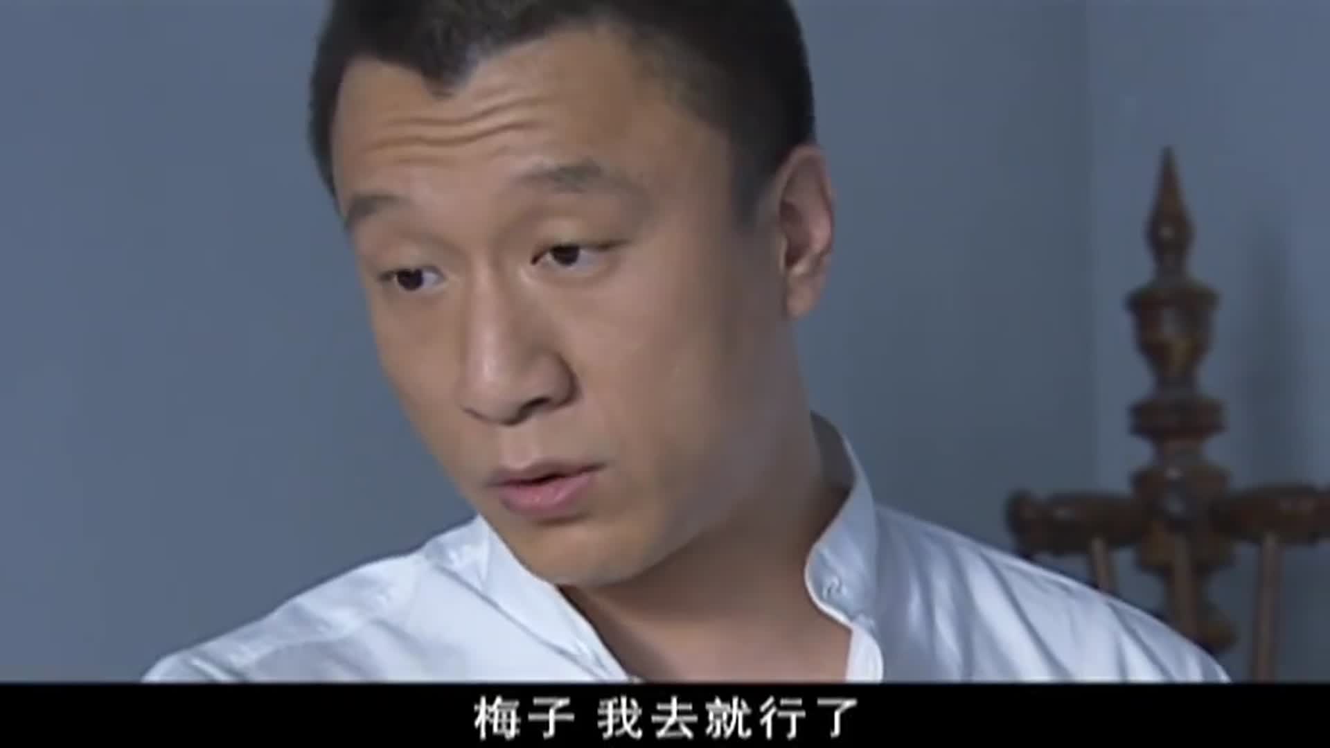 征服刘华强料到李丽被捕为了梅子却只能冒险联系菲菲