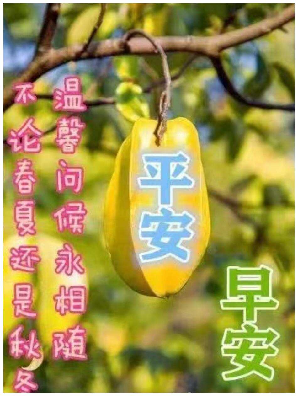 2021早安最火图片句子,2021年最新早安问候语 励志早安心语正能量2021早安励志的句子