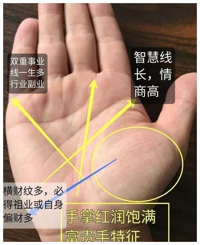 手相诠息案例分析