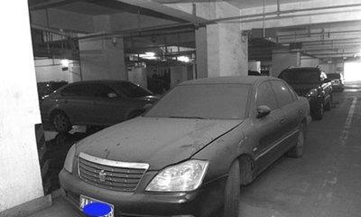 战疫胜利在望   长停爱车重启