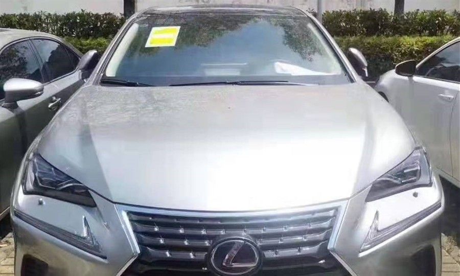 雷克萨斯 NX300 混动国五 运损