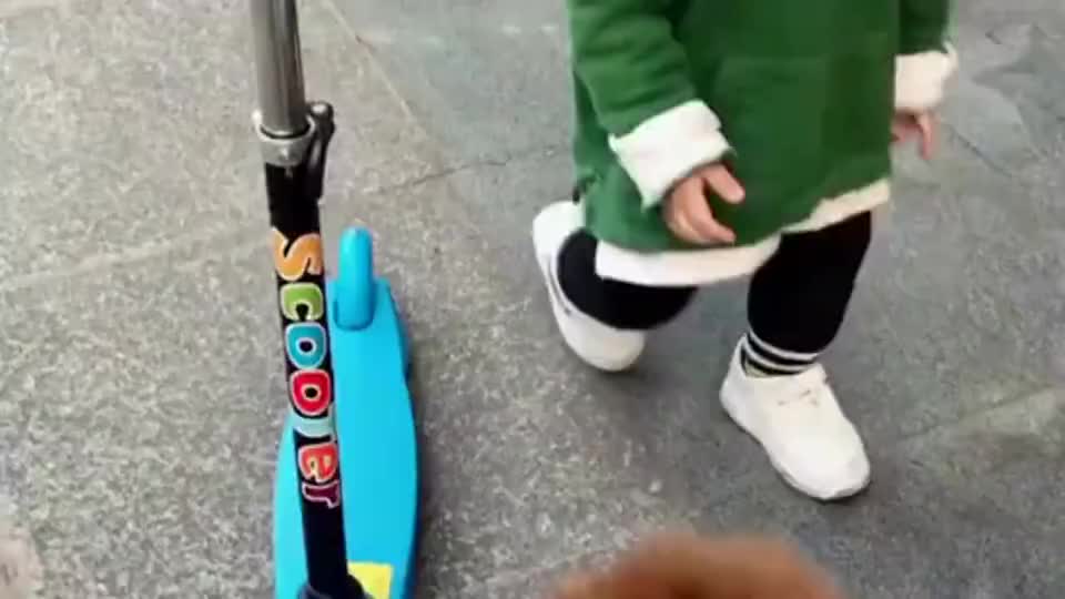 抢小孩的滑板车玩,小女孩急都语无伦次了, 萌犬双脚站立像人一样