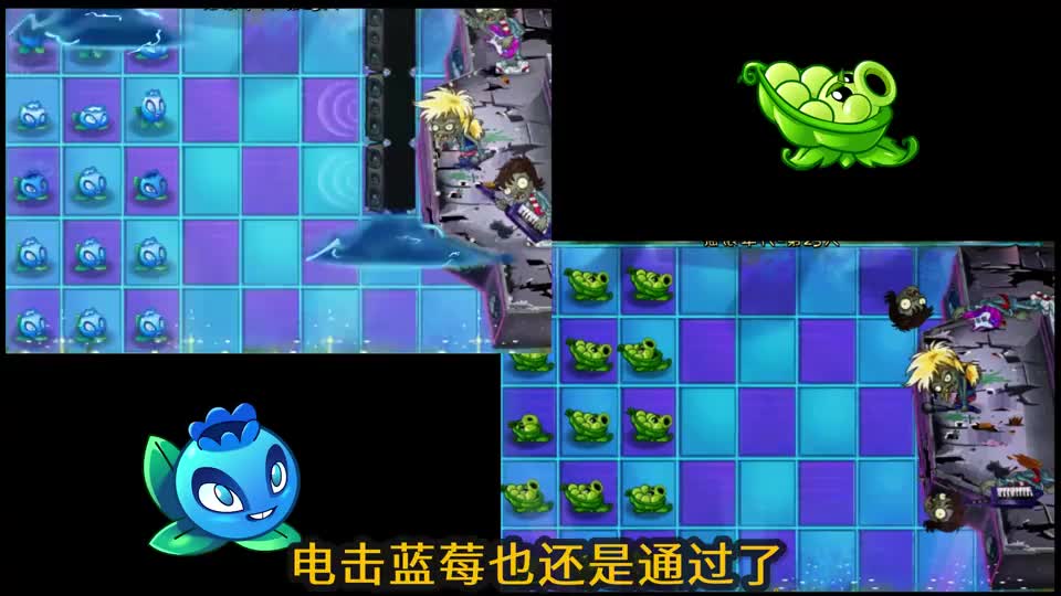 pvz2紫卡巅峰对决 5阶蓝莓vs5阶军炮 谁输出更强大?