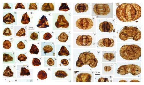 久梦什么醒成语_什么是醒图(2)