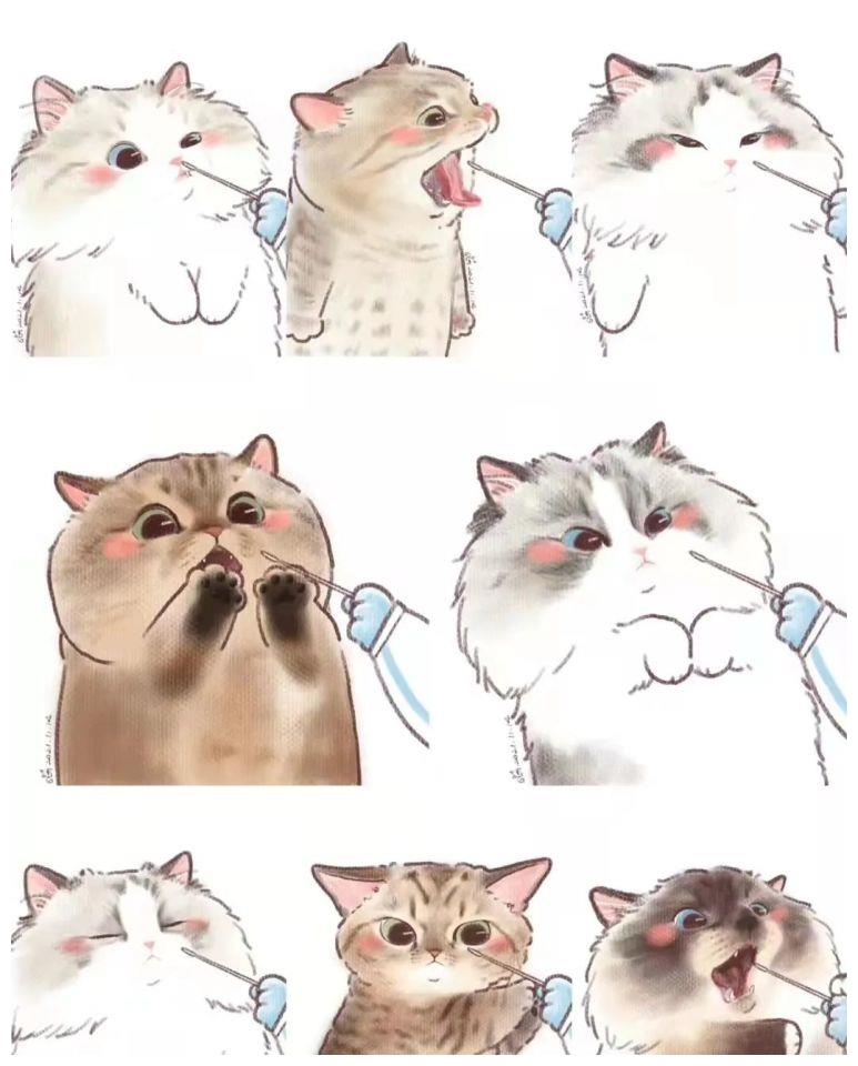 小猫咪做核酸检测会是什么样呢?|新冠肺炎_新浪新闻