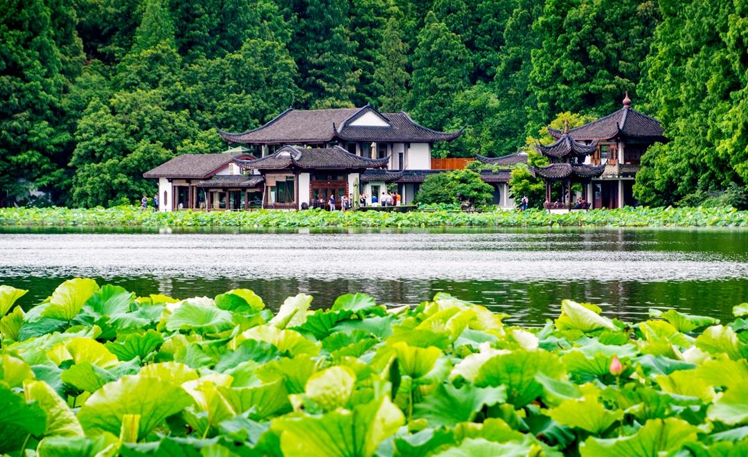 杭州西湖最特别的景点,院前莲叶田田,连康熙皇帝都赞叹不已