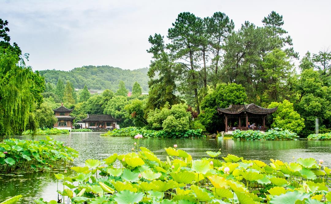 杭州西湖最特别的景点,院前莲叶田田,连康熙皇帝都赞叹不已