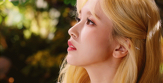 韩国女团twice精美动图,twice,kpop