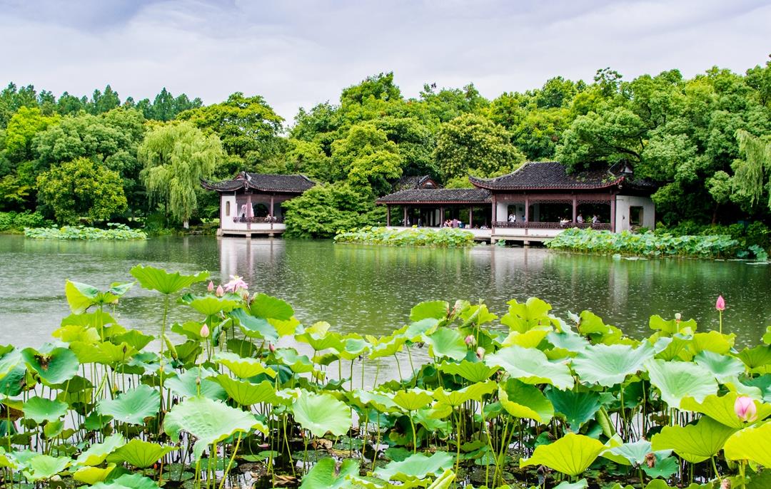 杭州西湖最特别的景点,院前莲叶田田,连康熙皇帝都赞叹不已